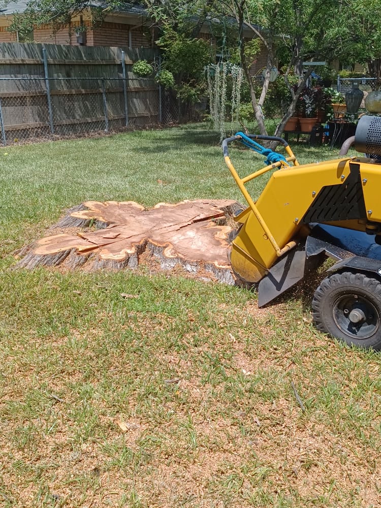 Dangerous Trees service