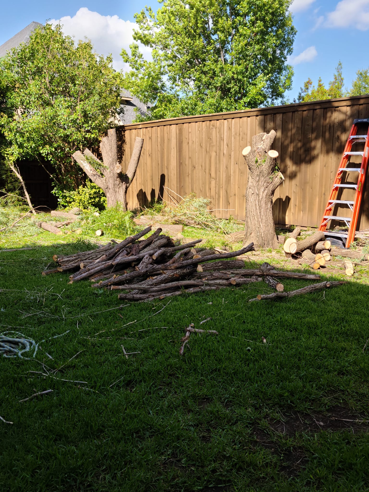 Project photo 1