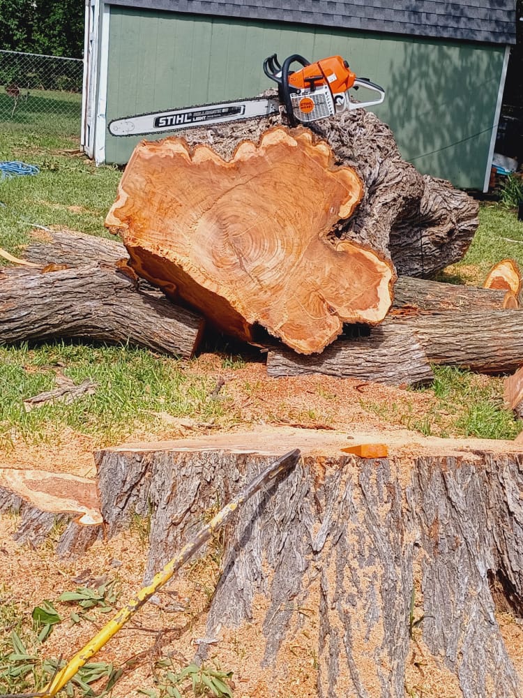 Stump Grinding service