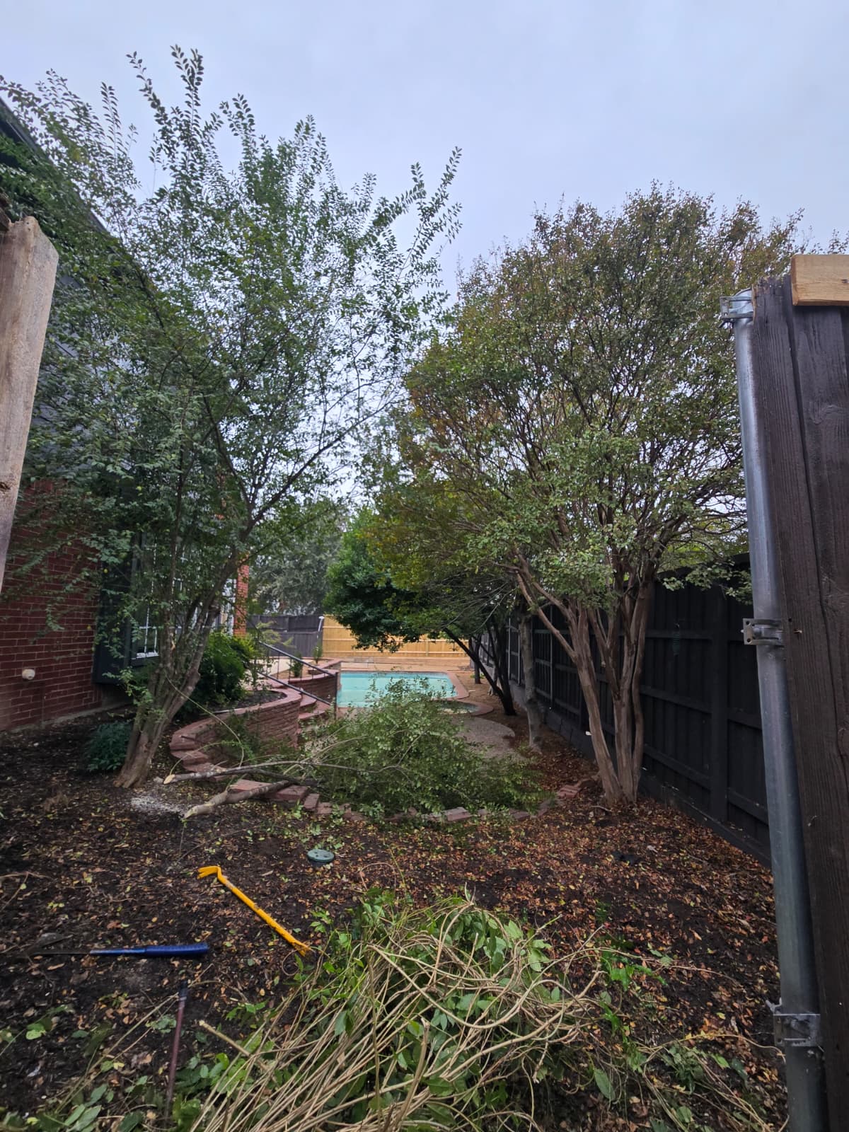 Stump Grinding service