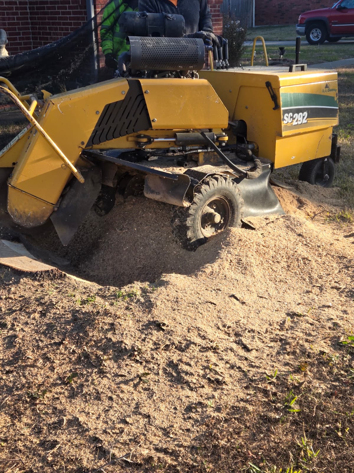Stump Grinding service