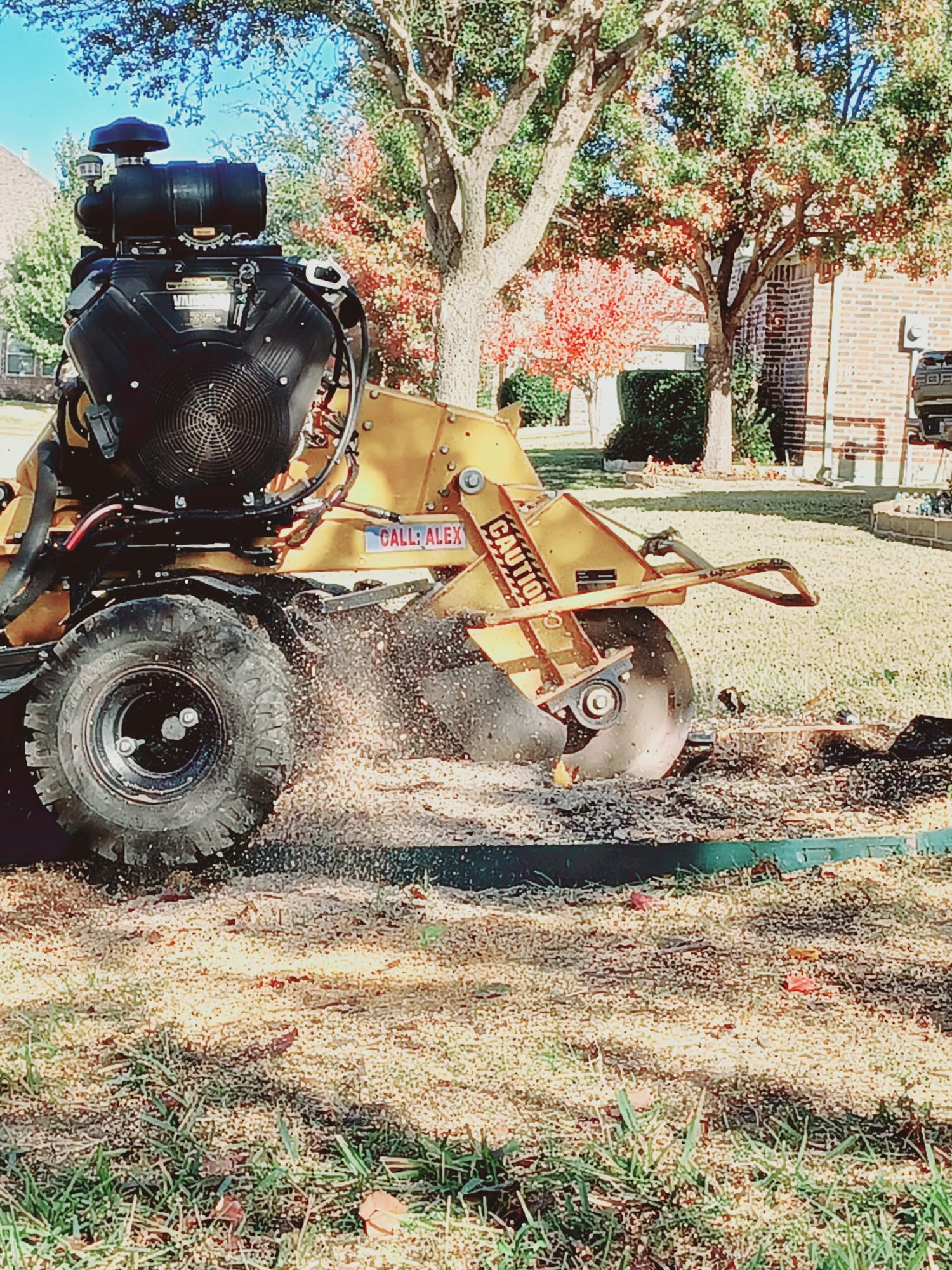 Stump Grinding service